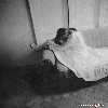 Страшные сны